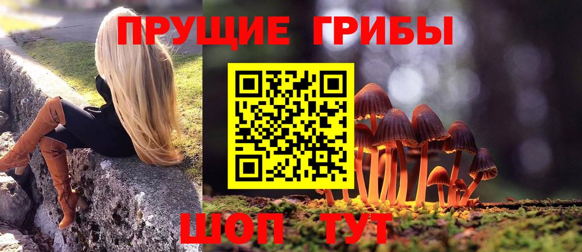 Галлюциногенные грибы MAGIC MUSHROOMS Советск