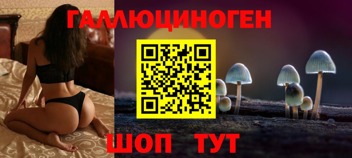 Советск  Галлюциногенные грибы мухоморы  Псилоцибиновые грибы прущие грибы  Вход с VPN 